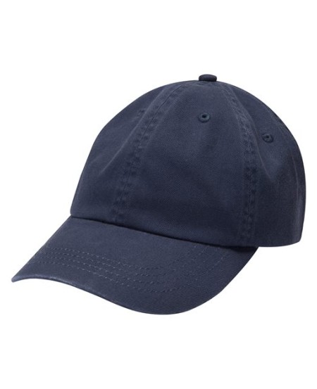 AM101 Americana Dad Hat