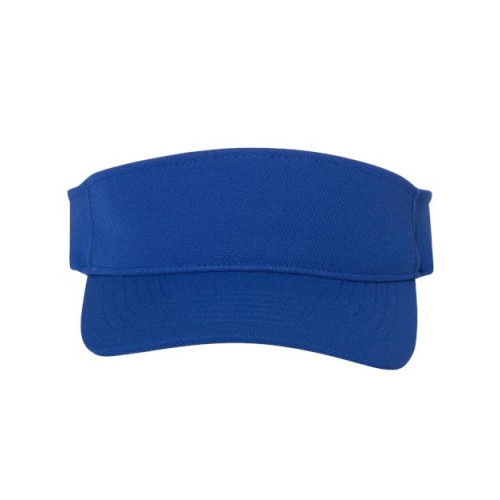 8110 110 Visor