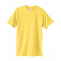 5170 Hanes Unisex Ecosmart ® T-Shirt