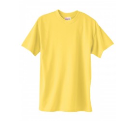 Unisex Ecosmart  T-Shirt 5170 Hanes
