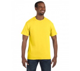 Men's Authentic-T T-Shirt 5250T Hanes