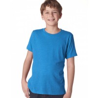 N6310 Next Level Apparel Youth Triblend Crew