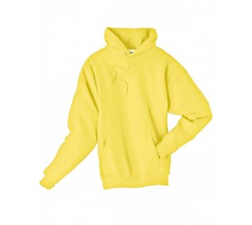 Unisex Ecosmart 50/50 Pullover Hooded Sweatshirt P170 Hanes